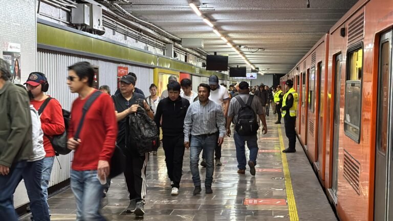 WhatsApp Image 2026-02-11 at 6.33.51 PM (2)