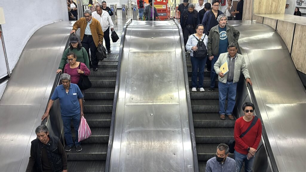 WhatsApp Image 2026-02-11 at 6.33.51 PM (3)