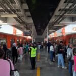 WhatsApp Image 2026-02-11 at 6.33.52 PM