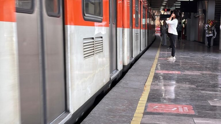 WhatsApp Image 2026-02-13 at 9.03.58 PM