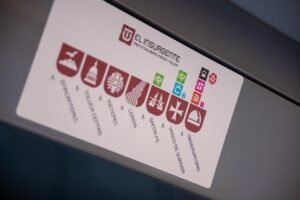 Tren interurbano El Insurgente