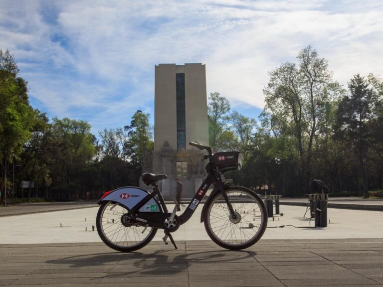 Aniversario 16° ECOBICI.