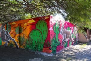 Senderos seguros, Sonora