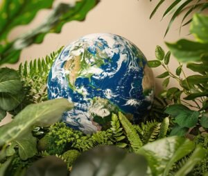 3 de marzo Día Internacional de la Naturaleza