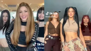 TikTok explotó: el concierto que todos querían revivir
