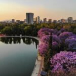 Rey de Reyes 2026: la era WWE-AAA arranca con lleno total en Puebla