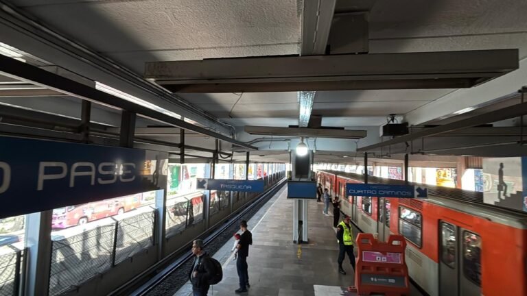 WhatsApp Image 2026-02-13 at 9.04.02 PM