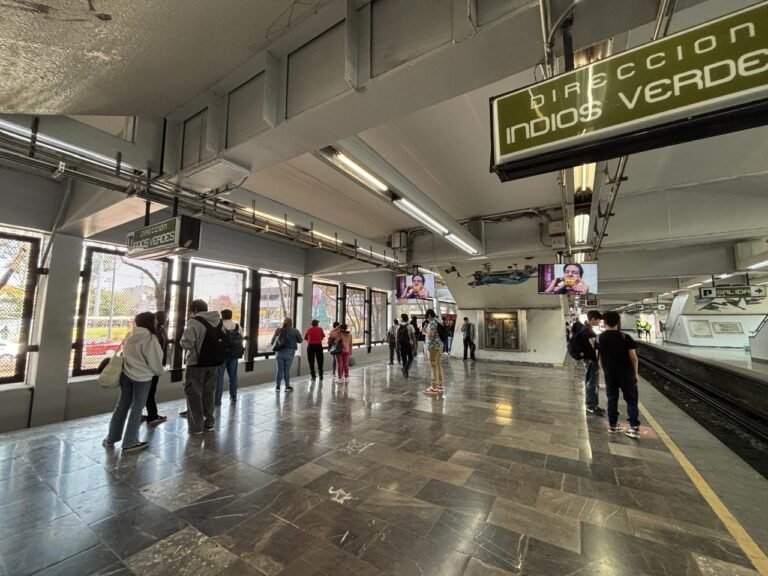 WhatsApp Image 2026-03-19 at 8.08.58 PM