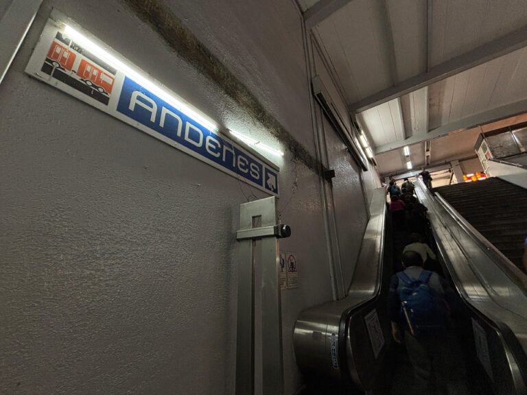 WhatsApp Image 2026-03-26 at 5.39.30 PM (2)