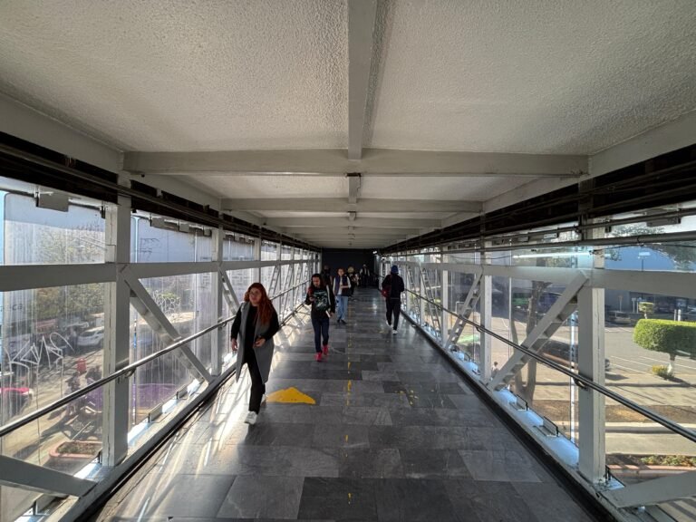 WhatsApp Image 2026-03-26 at 5.39.30 PM