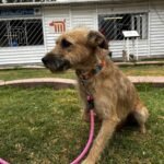 cc0149f1-b717-4422-a441-4f1644ccc246