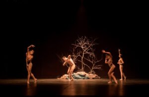 Secretaría de Cultura