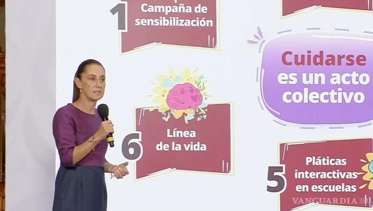 estrategia nacional de salud mental en mexico