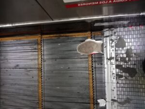tenis atorado en las escaleras de tacubaya