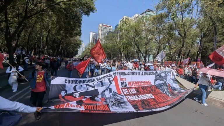mega marcha de la cnte 15 de mayo