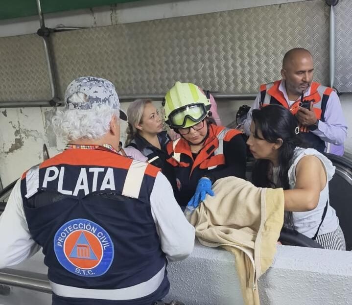 rescate canino en metro
