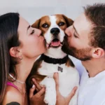 Parejas-DINKWAP-asi-es-el-nuevo-modelo-de-familia-que-crece-en-Mexico