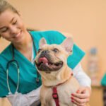 Servicio para mascotas