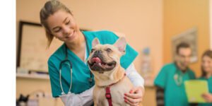Servicio para mascotas