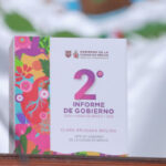 El 2o informe de Brugada