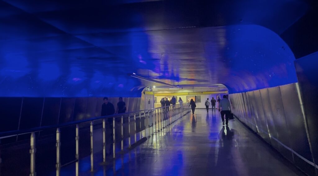 La Raza tiene un pasaje de ciencia junto a las vías del Metro