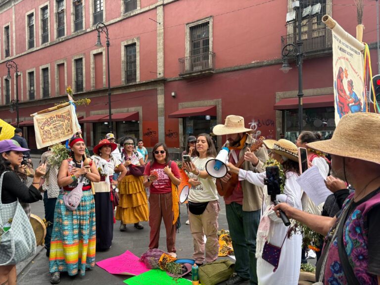 Diputadas locales respaldan a parteras tradicionales