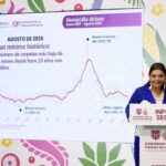 clara brugada molina informe de seguridad
