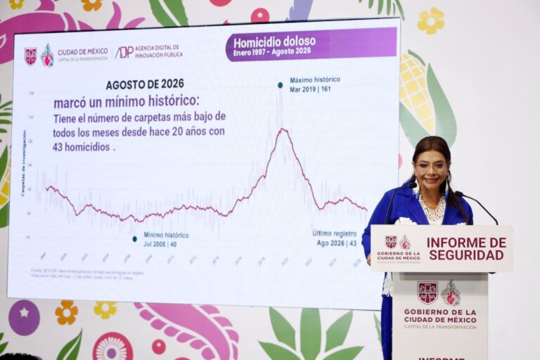 clara brugada molina informe de seguridad