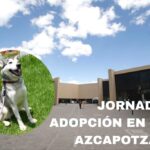 jornada de adopcion en faro azcapotzalco, perritos de metro estarán