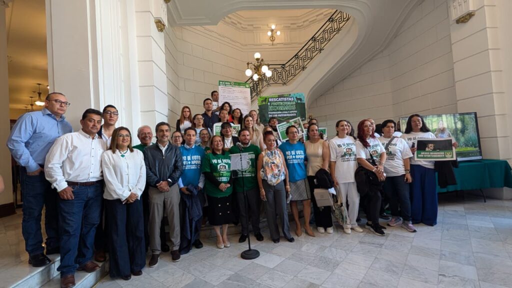 verde propone iniciativa en beneficio de los refugios de animales