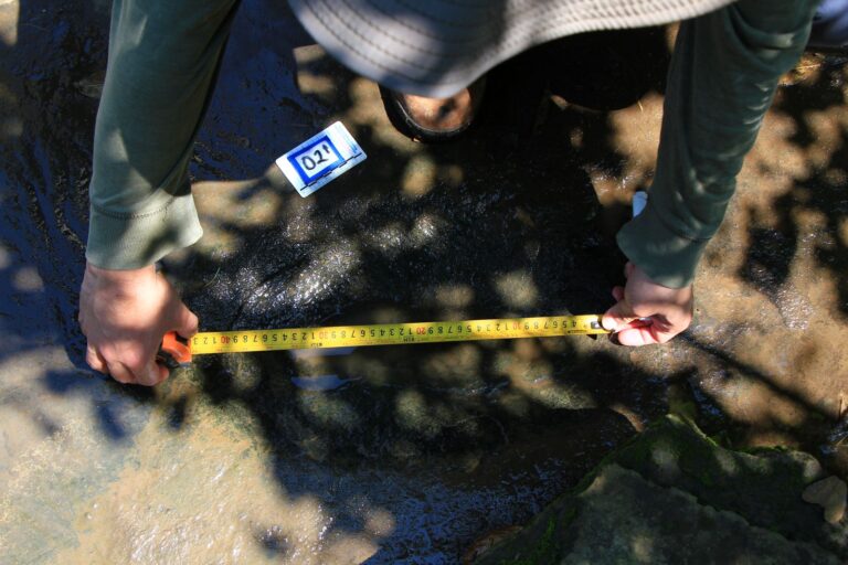 INAH confirma descubrimiento de 50 huellas de dinosaurio en Apatzingán, Michoacán. Foto CINAH Michoacán