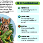 La SSC emite recomendaciones para evitar la compraventa de animales exóticos por internet