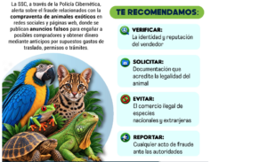 La SSC emite recomendaciones para evitar la compraventa de animales exóticos por internet