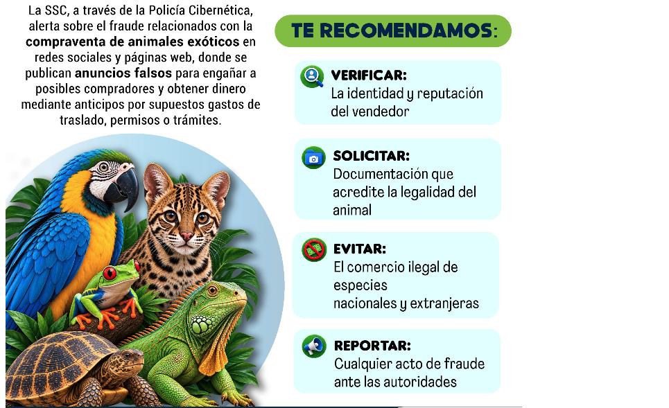 La SSC emite recomendaciones para evitar la compraventa de animales exóticos por internet