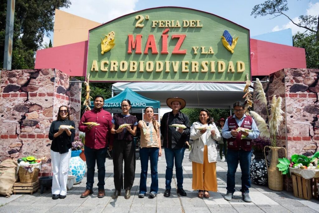 Maiz