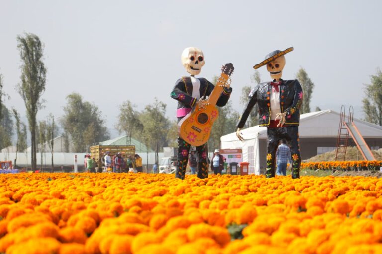 gobierno cdmx romperá record con la catrina más grande del mundo